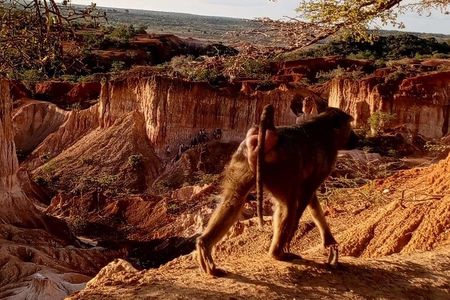 Sand. Canyons. Sunset. Magic. Mambrui & Hell’s Kitchen experience