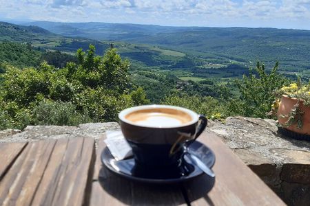 Istrian hill top cities tour with truffle and olive oil tasting