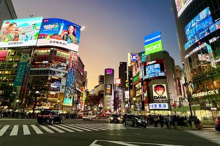 Private Walking Tour in Tokyo - See all Highlights in 1 Day