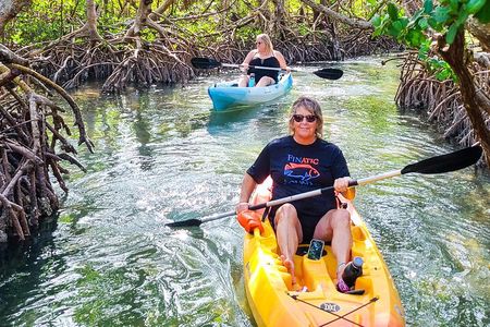 Kayak or Paddleboard the Famous Mangrove Tunnels