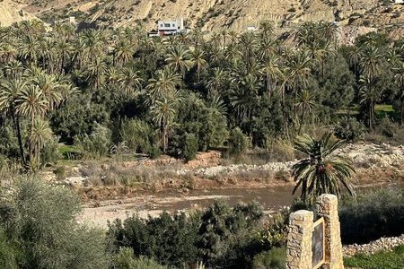 Paradise Valley, Lunch, Sand Surfing ,Camel & Colorful Village