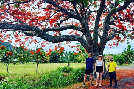 'Walk-about' Tour: explore Rarotonga by foot!