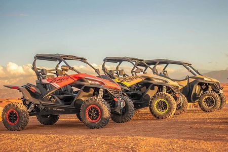 Marrakech: Agafay Dinner Show, Camel Ride, Quad, or Buggy
