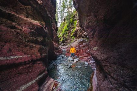 Waterton National Park and Bison Safari Tour