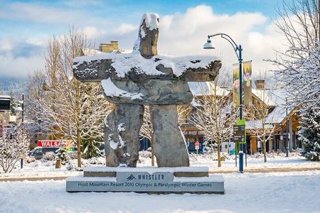 Whistler: Sea to Sky Gondola Shannon and Brandywine Falls Tour