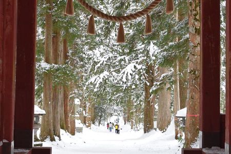 Togakushi Shrine Private Tour with English Local Guide