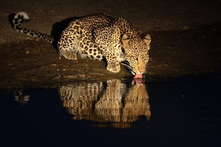7-Day Tanzania Private Luxury Safari, Culture & Night Game Drive