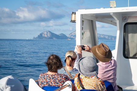 Capri, Anacapri and Grottoes Full Day Island Escape from Sorrento