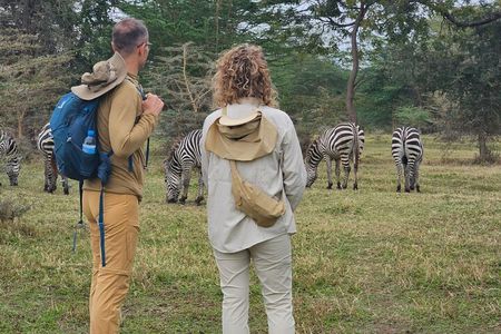 4-Days Private Luxury, Tarangire, Crater, Mto wa mbu & Materuni