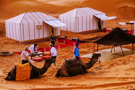 Merzouga Desert Experience Camel Ride Private Tent and Bathroom