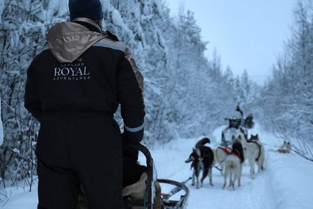Rovaniemi Lapland Husky Experience 5km