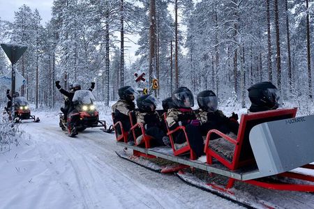 2 Day Tour Husky Ride, Snowmobiles, Northern Lights and Ranua Zoo
