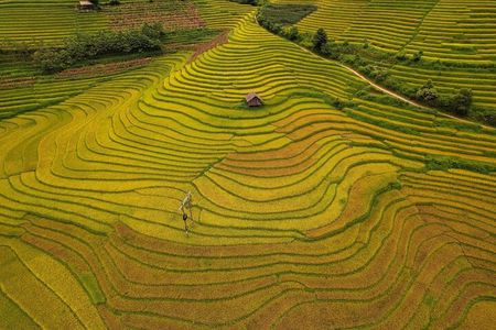 Sa Pa 1 Day Motorbike Tour and Visit Remote Villages