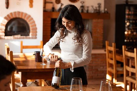 Vineyard and cellar tour with 5 wine tasting near Lake Garda