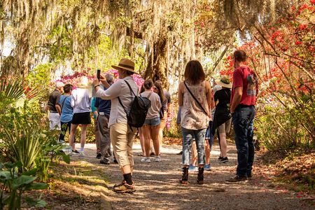 Magnolia Plantation Tour with transportation PLUS City Bus Tour