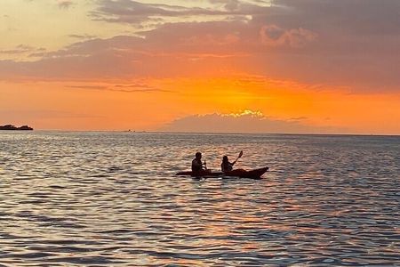 Fajardo Bio Bay Guided Kayak Tour