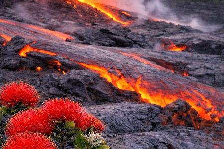 Big Island Scenic Tour: Volcano HiloTown Waterfalls Beach & Lunch