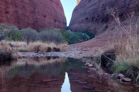 Uluru Sunrise (Ayers Rock) and Kata Tjuta Half Day Trip