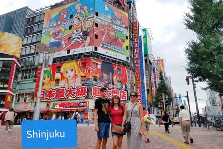 Tokyo Private Customized Walking Tour (Option Car Tour Available)