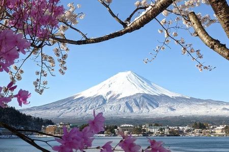 Mount Fuji Sightseeing in Private Car