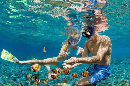 Dimaniyat Islands Snorkeling Adventure Private Tour