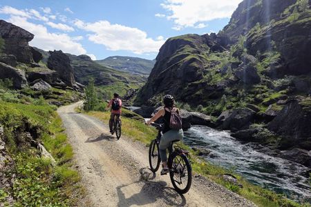 Explore Norway's Mountains (1 Day) by Electric Bicycle + Train