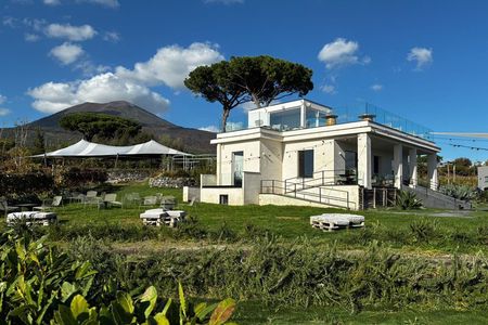 Pompeii Small Group Tour & Food/Wine tasting at Mt. Vesuvius