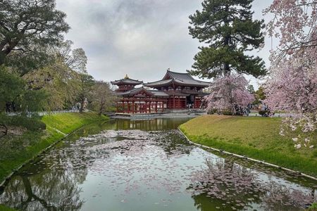 Uji Tea Ceremony and UNESCO Heritage Walking Tour