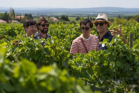 Morning Wine Tour to Chateauneuf du Pape from Avignon