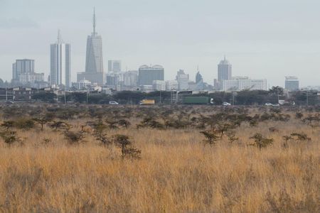 Nairobi National Park Half Day Guided Tour Tour with Free WiFi