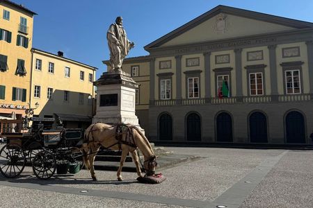 Carriage tour in the historic center of Lucca