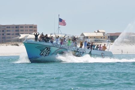 Daytime Dolphin Cruise in Destin