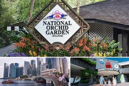 Half Day Sightseeing Guided Tour with National Orchid Garden 