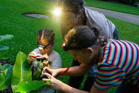 1-Hour Cairns Botanic Gardens Evening Family Experience
