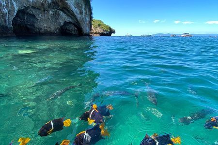Snorkeling and boating to Los Arcos de Mismaloya Marine Sanctuary