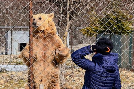Tbilisi: Sabaduri Forest, Georgian Stonehenge & Bear Sanctuary