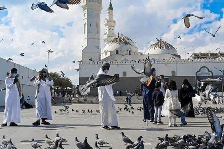 VIP Medina Historical Tour Mount Uhud Quba Mosque and More