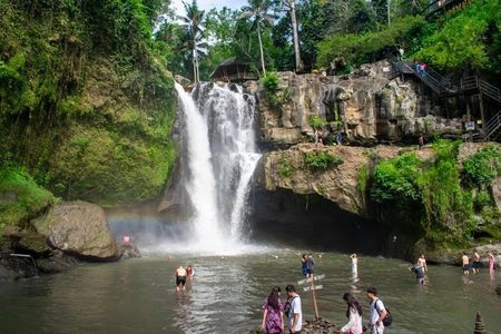 Ubud Private Tour to Tegenungan Ancient Temples and Rice Terraces
