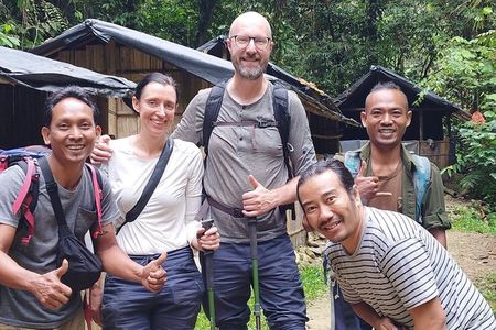 1-Day Jungle Trek into Bukit lawang National Park Stay in Medan 