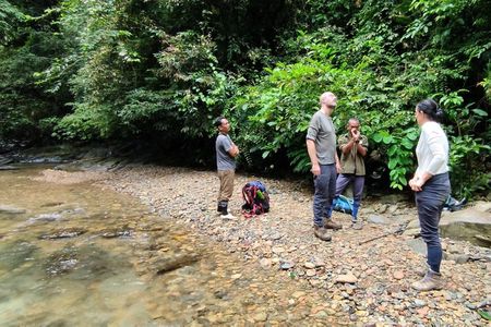 2 day Sumatra Orangutan Jungle Trek Tour Medan - Bukit Lawang