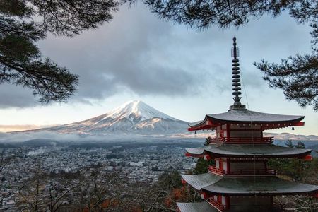 Mount Fuji Private Tour By Car With Pick Up From Tokyo