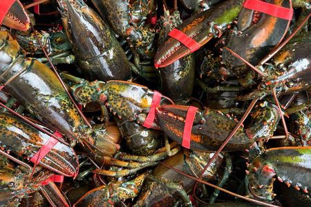 Lobsters & Legacy: An Authentic Lunenburg Experience