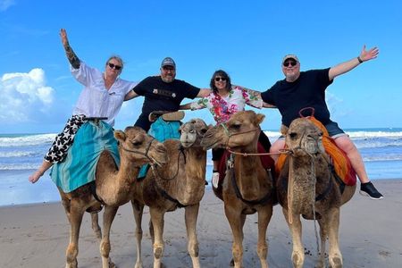 Tangier Cruise Ship Excursion - Private Guided Tour & camel ride