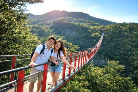 DMZ Insider Tour: 3rd Tunnel, NK Defector Meet& Suspension Bridge