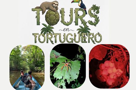 Canoe Tour, Night Hiking Tour and Turtle Spawning