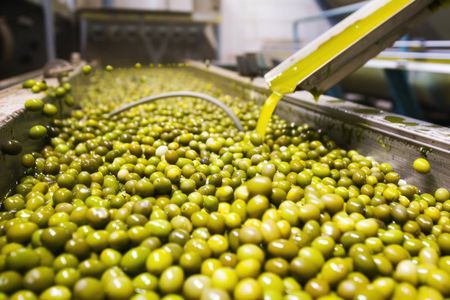 Corinth & Olive Oil Tasting Private Tour from Athens