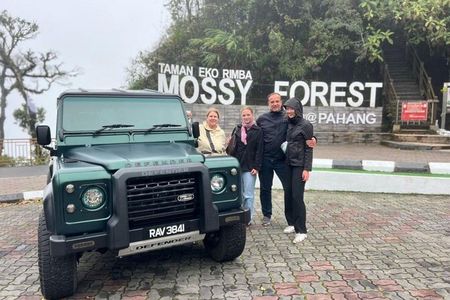 Package A Halfday Mossy Forest Private Tour