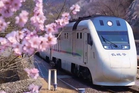 Beijing Great Wall City Park Tour