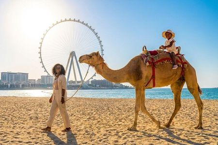 Camel Ride Along JBR Beach with Views of Dubai
