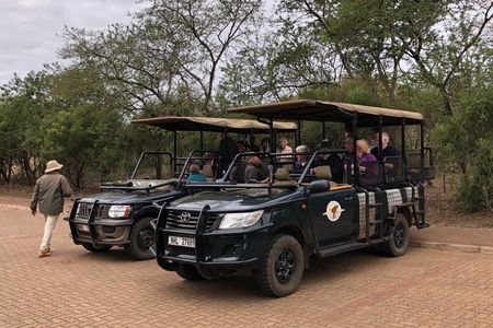 Hluhluwe Imfolozi Big 5 Safari Day Activity from Richards Bay